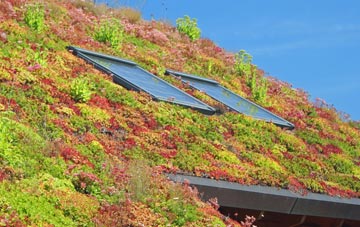 Flitwick living roof systems
