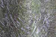 Flitwick fibreglass roof work